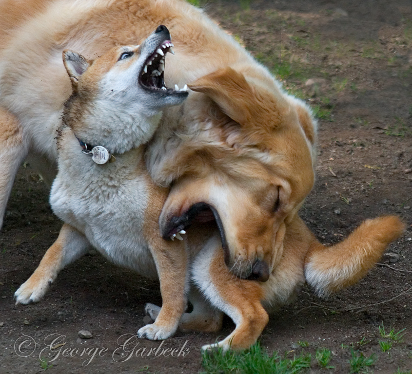 Just Playing